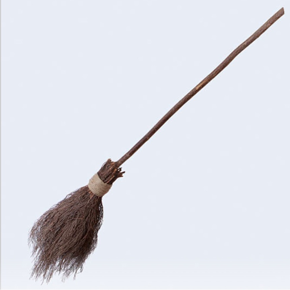 Lisa’s witches broom 🤣🤣🤣🤣